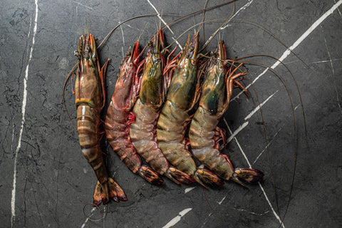 Black Tiger Prawn 2kg (10/20)