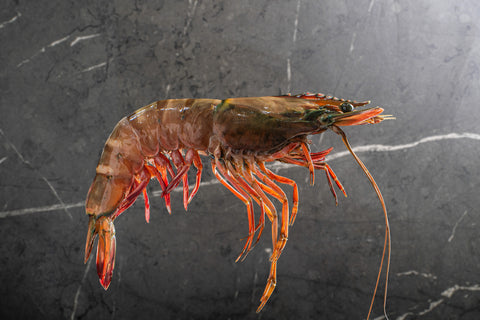 Black Tiger Prawn 2kg (10/20)