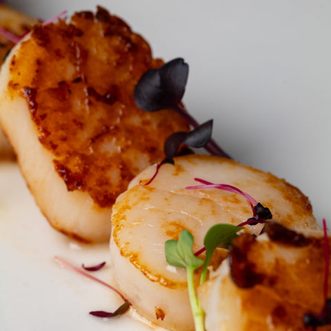Hokkaido Scallops