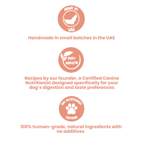 Healthy Dog Treats - Golden Chicken