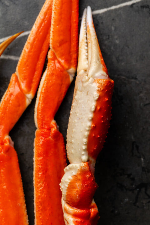 Opilio Snow Crab